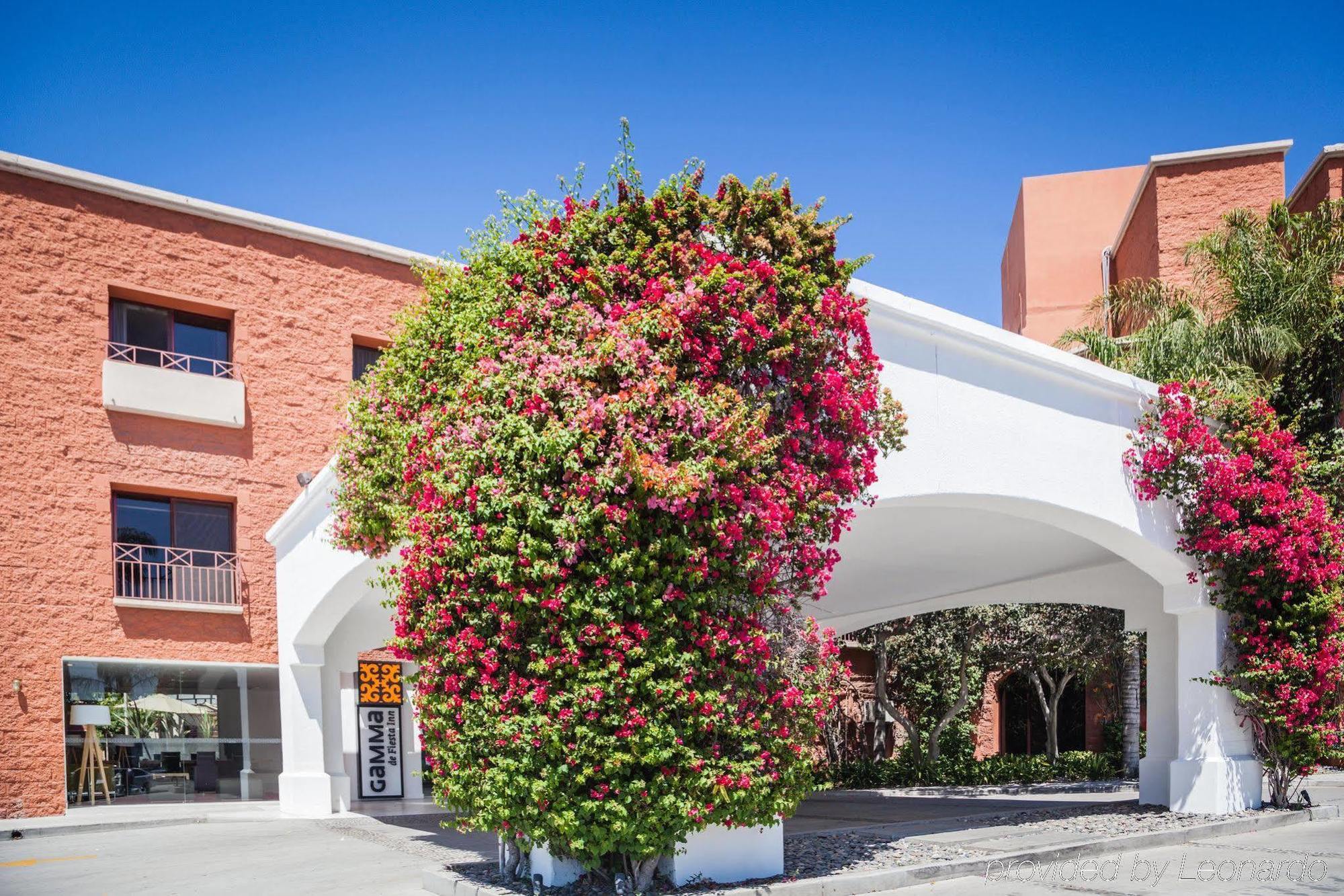 Hotel Gamma Tijuana Exteriér fotografie